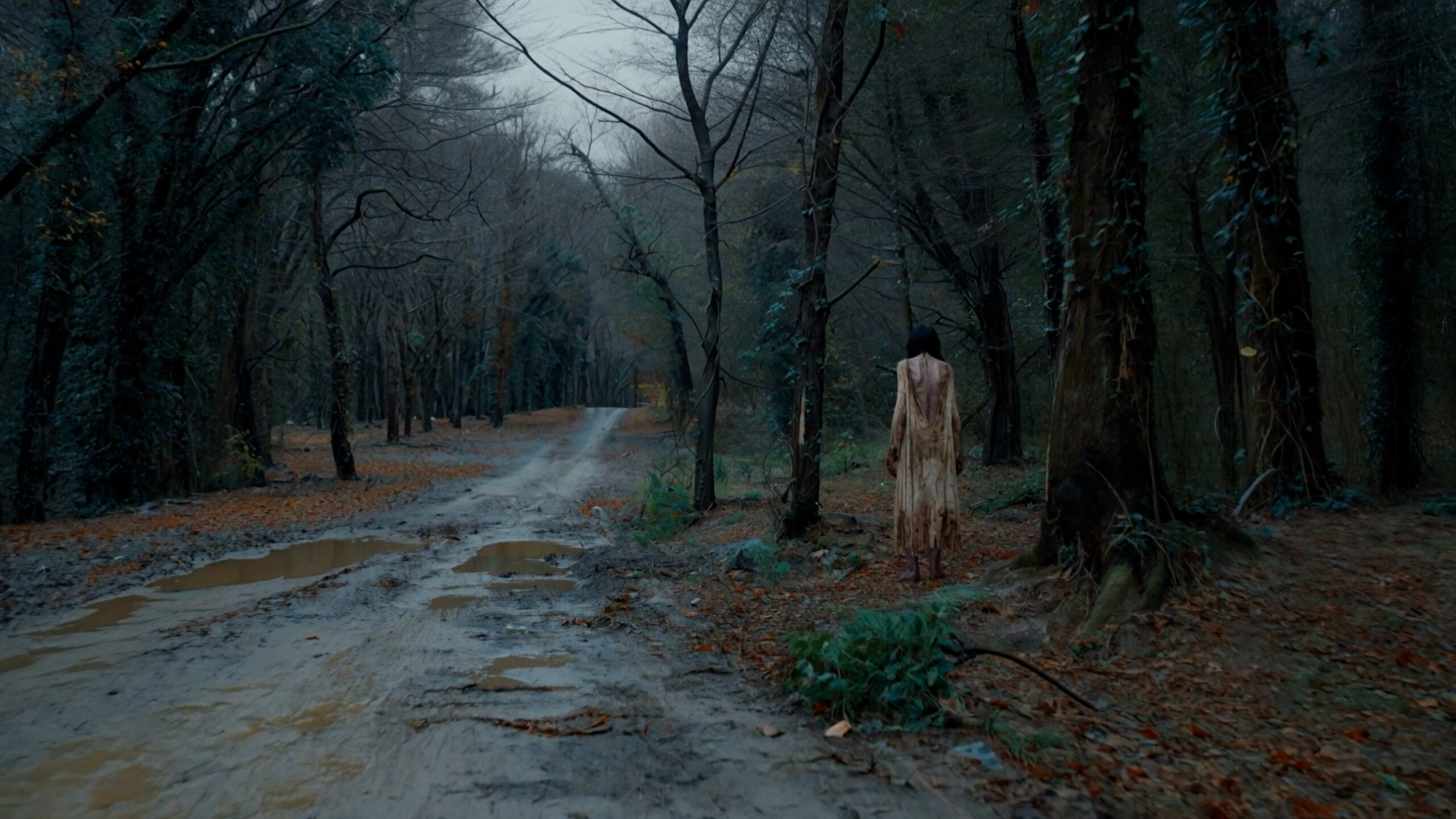 Blair Witch project hero