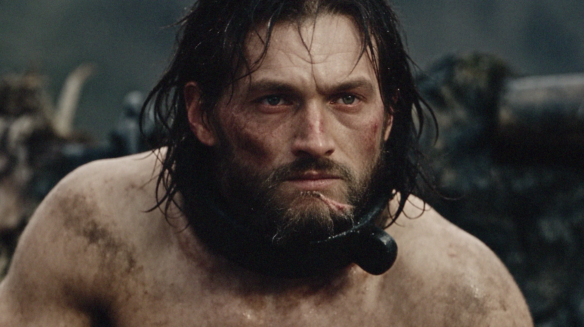 A close portrait of THYMOS in captivity — exhausted, wounded and restrained by iron, yet still observing the world around him.