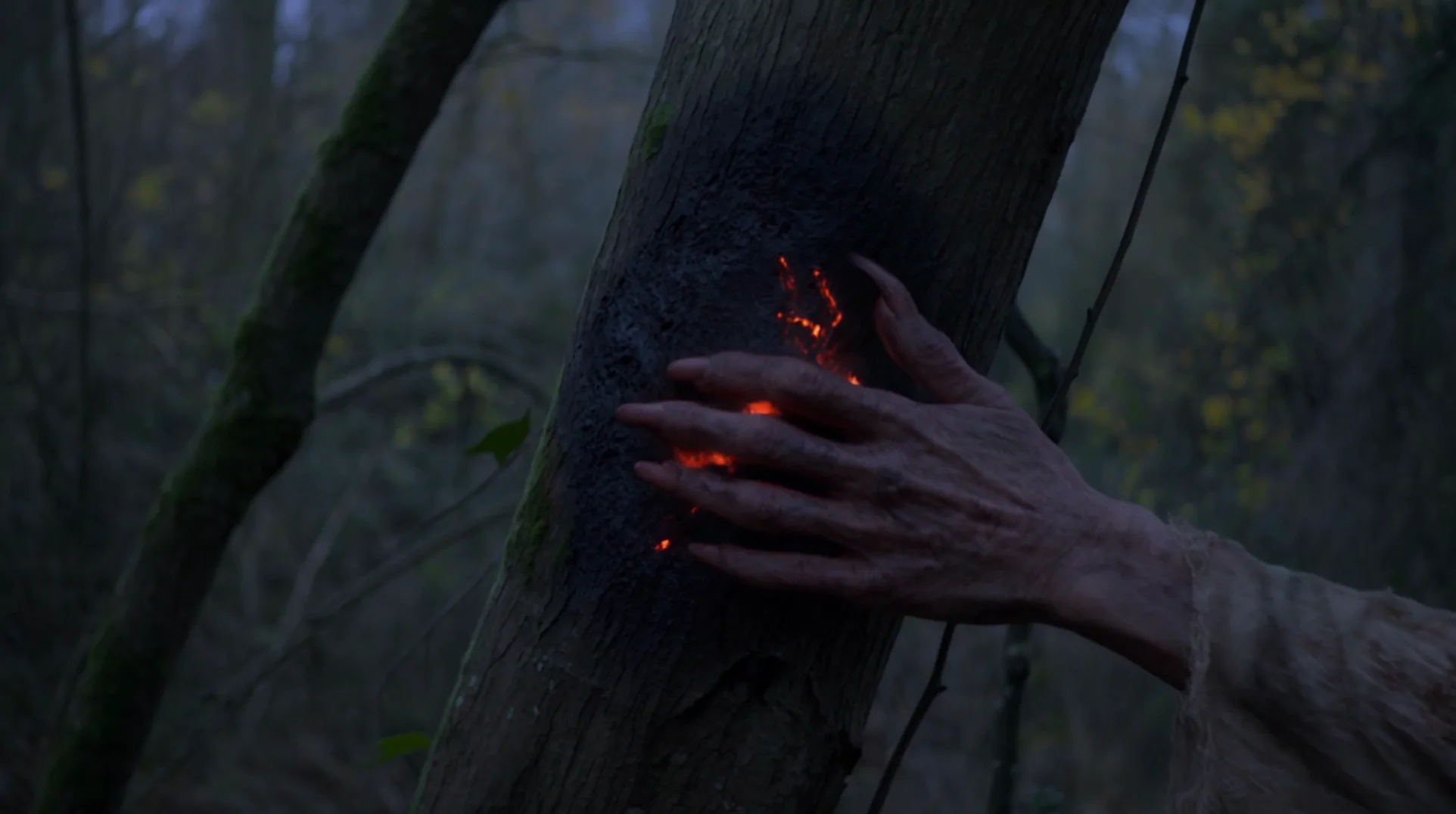 Blair Witch AI visual effects: Burning hand on the tree